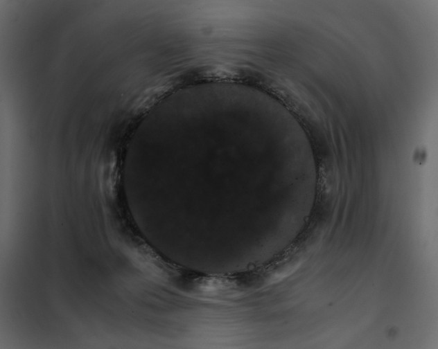 X0000101990223200808081644