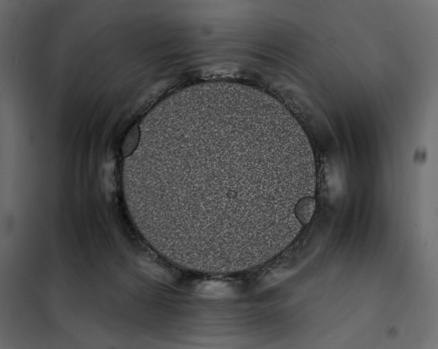 X0000101990224200808081644