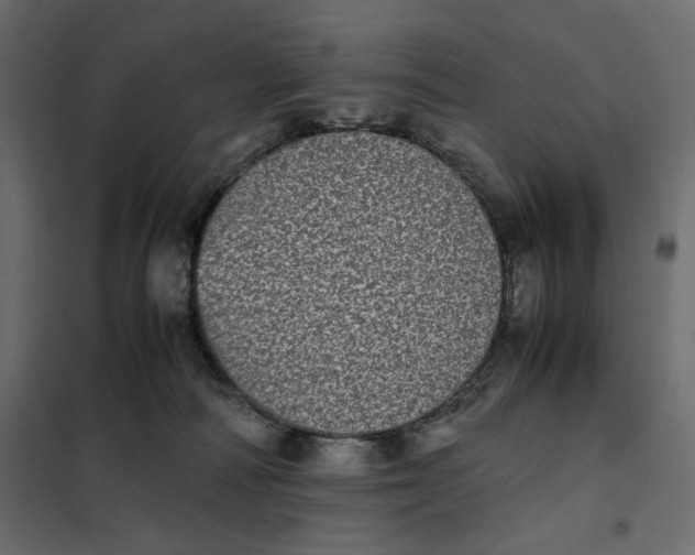 X0000101990226200808081644