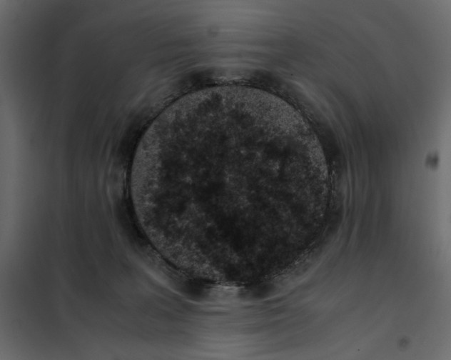 X0000101990227200808081644