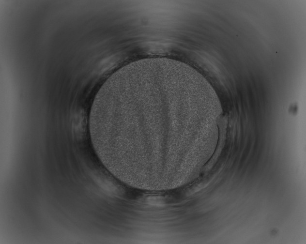 X0000101990228200808081644