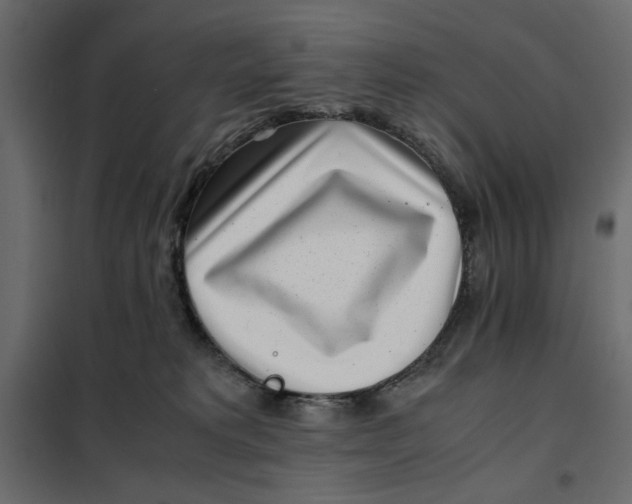 X0000101990229200808081644