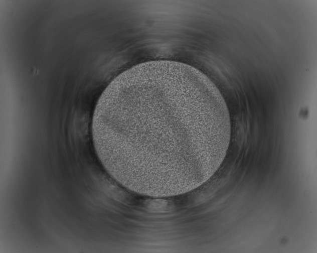 X0000101990230200808081644