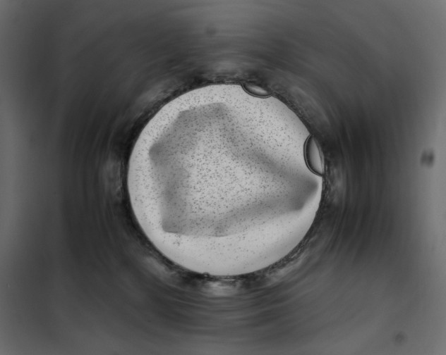 X0000101990232200808081643