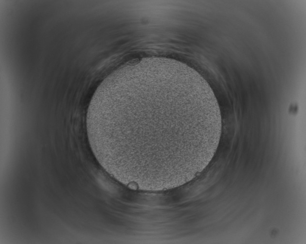 X0000101990233200808081643