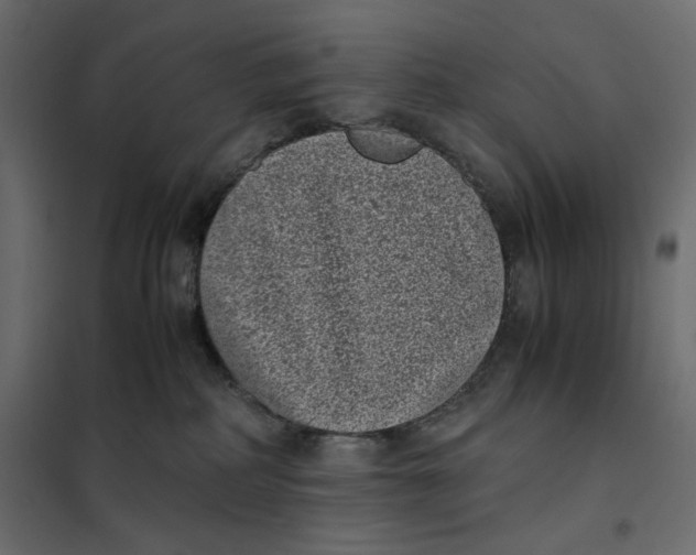 X0000101990234200808081643