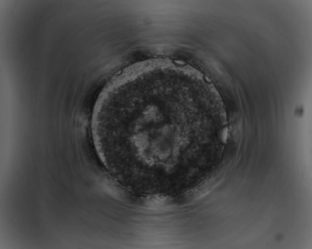 X0000101990235200808081643