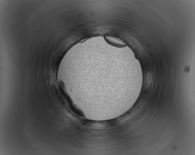 X0000101990236200808081643