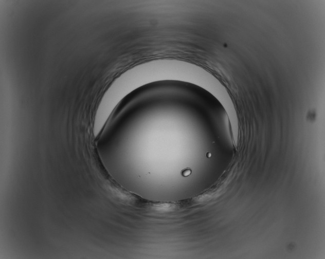 X0000101990237200808081643