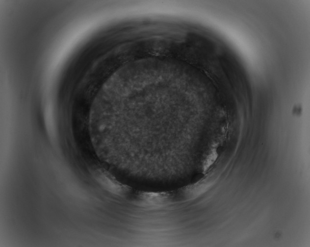 X0000101990239200808081643