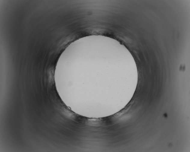 X0000101990240200808081643
