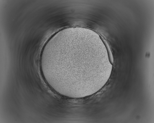 X0000101990241200808081643
