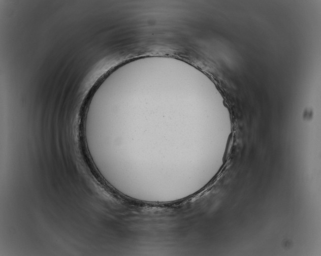 X0000101990242200808081643