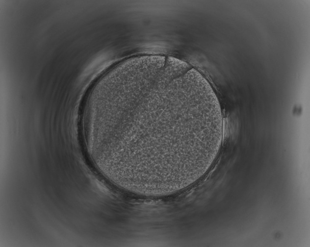 X0000101990243200808081643