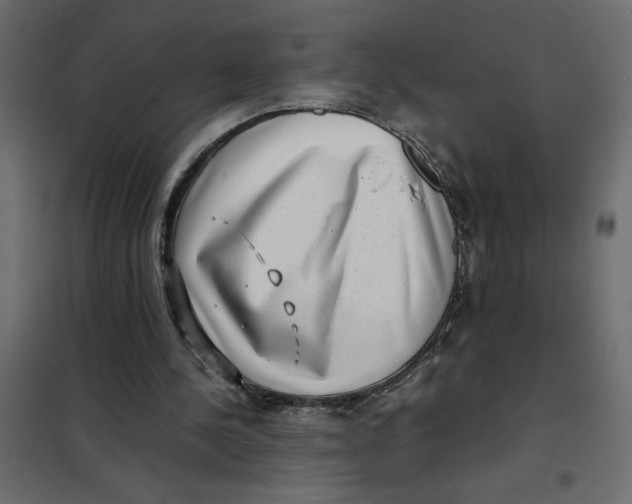 X0000101990244200808081643