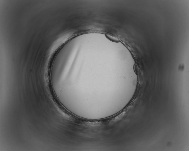 X0000101990245200808081643