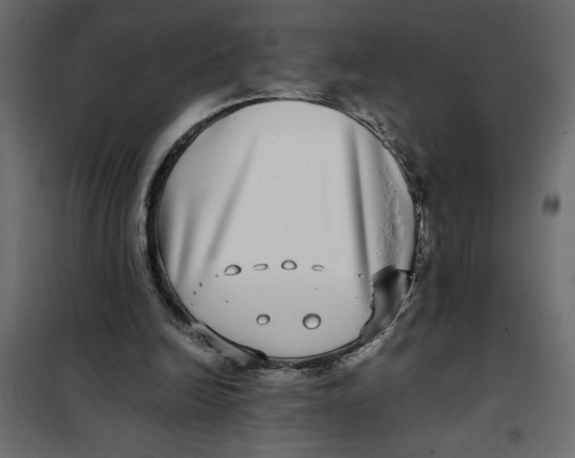 X0000101990246200808081643