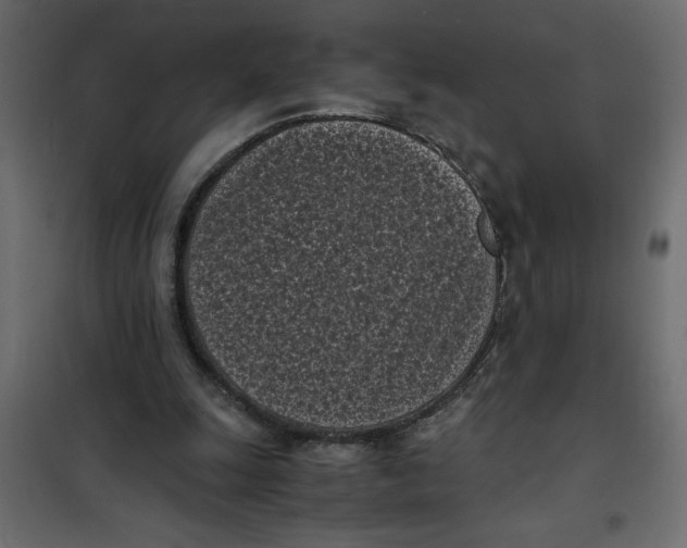 X0000101990247200808081643