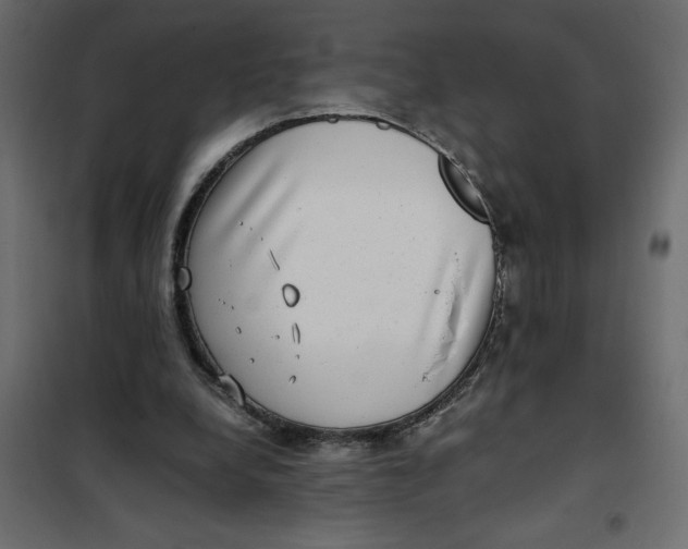X0000101990248200808081643