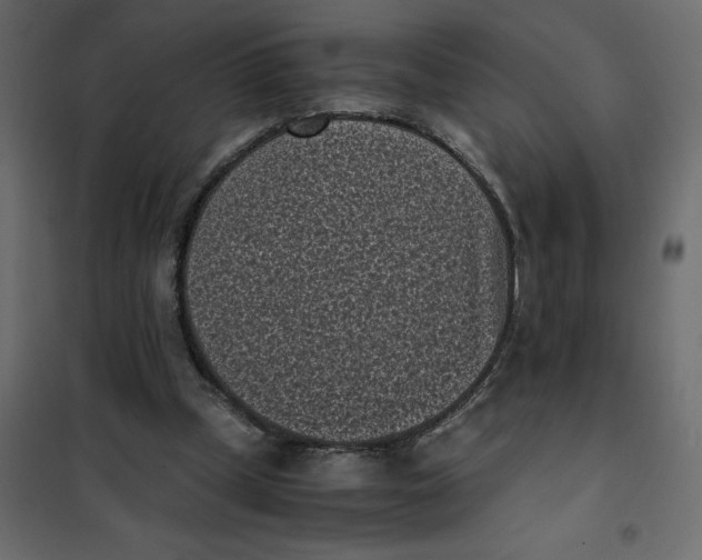 X0000101990249200808081643