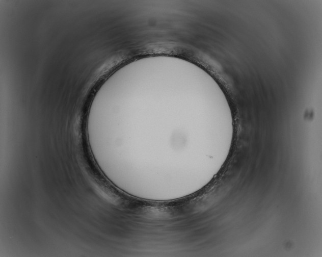 X0000101990250200808081643