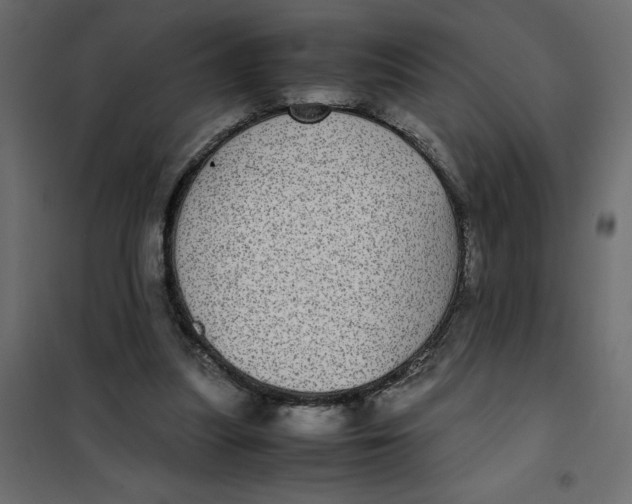 X0000101990251200808081643