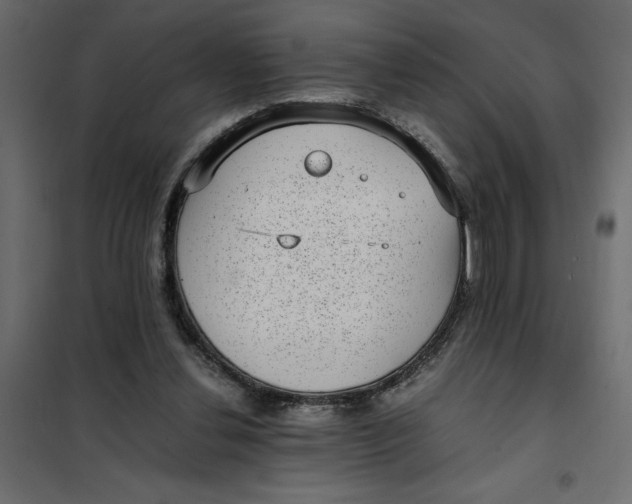 X0000101990252200808081643