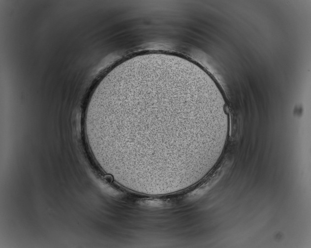 X0000101990253200808081643