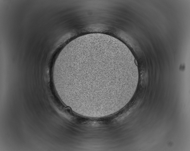 X0000101990254200808081643