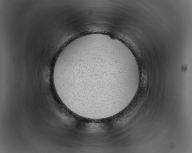 X0000101990255200808081643