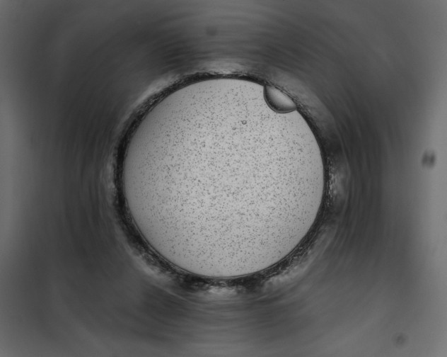 X0000101990256200808081643
