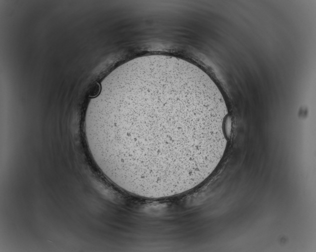 X0000101990257200808081643