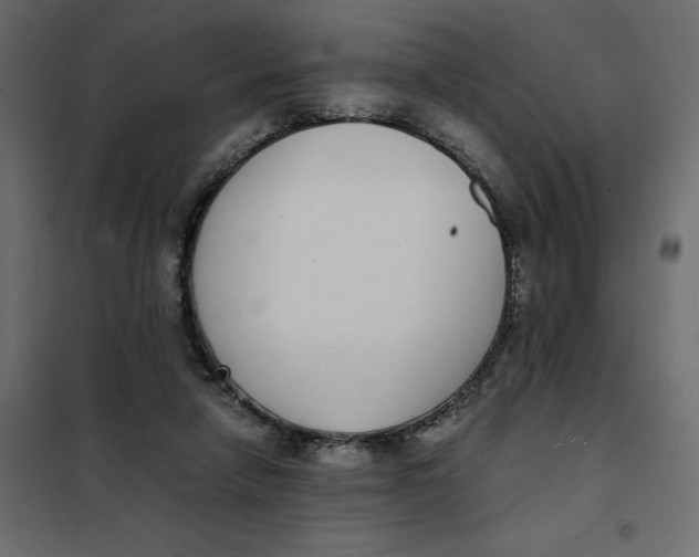 X0000101990258200808081643