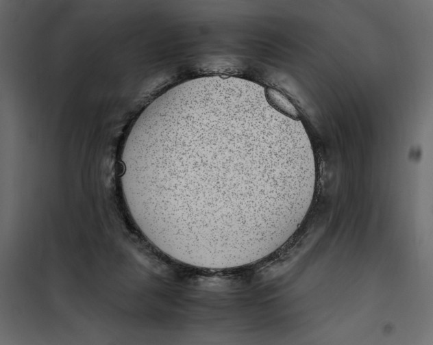 X0000101990259200808081643