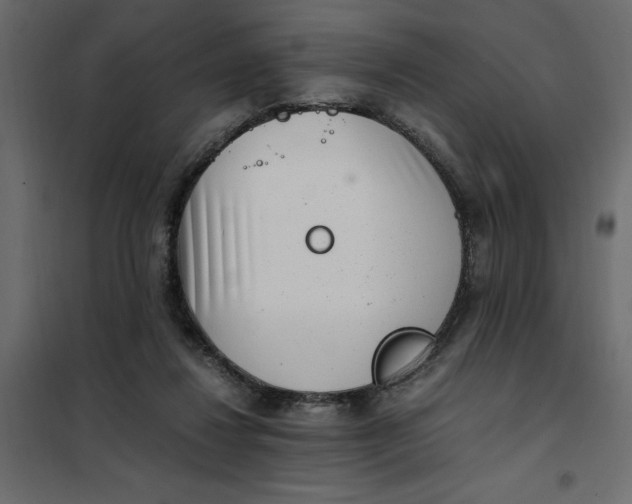 X0000101990260200808081643