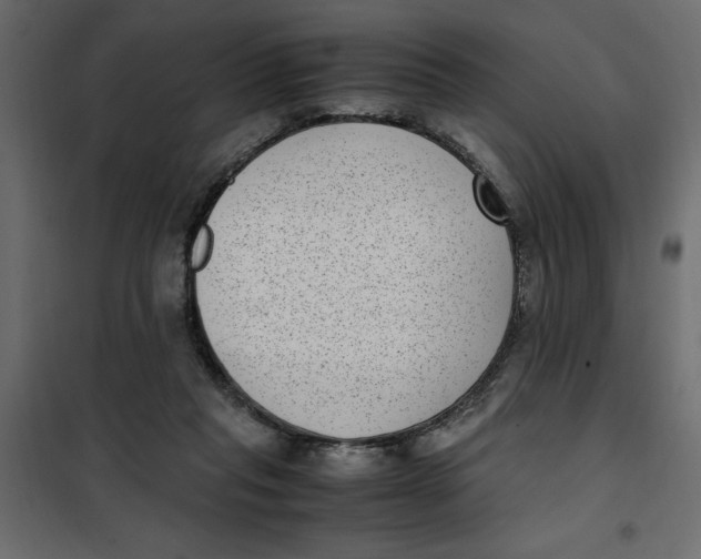 X0000101990261200808081643