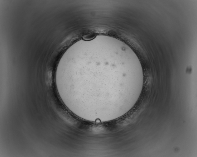 X0000101990262200808081643