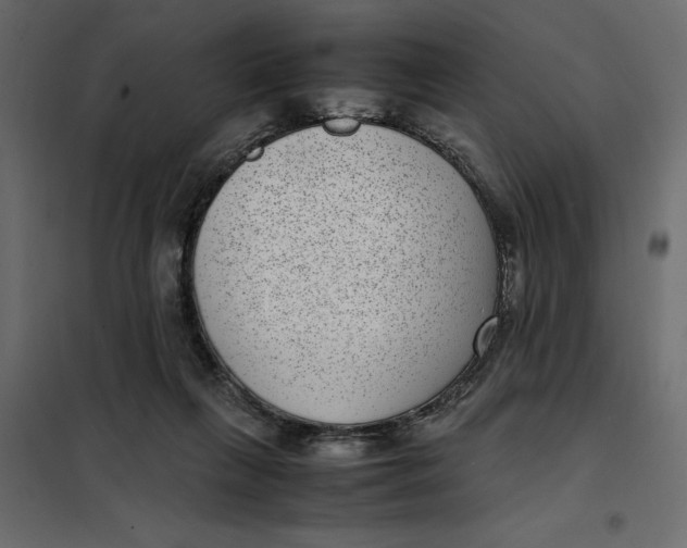 X0000101990263200808081643
