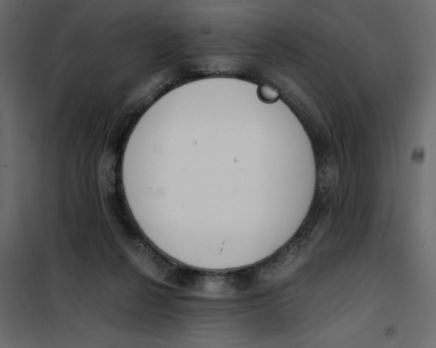 X0000101990264200808081643