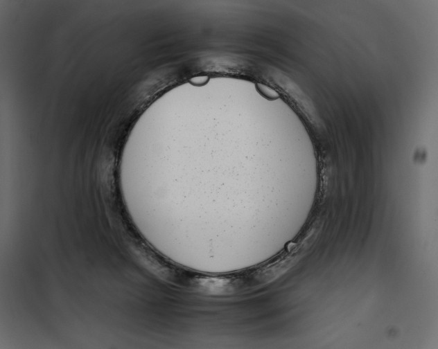 X0000101990265200808081643