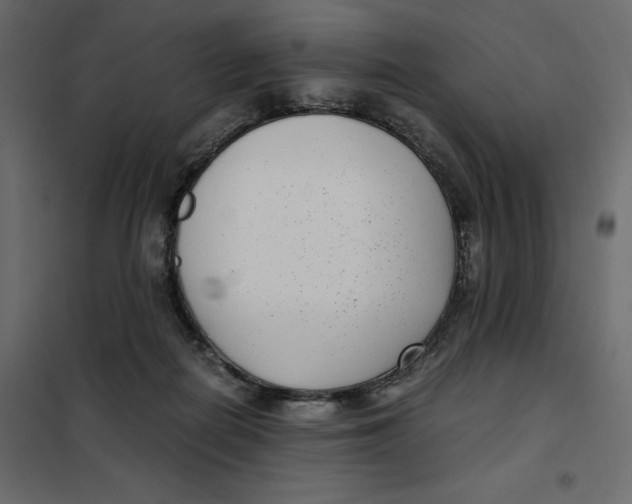 X0000101990266200808081643