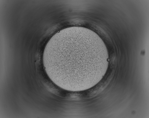 X0000101990268200808081643