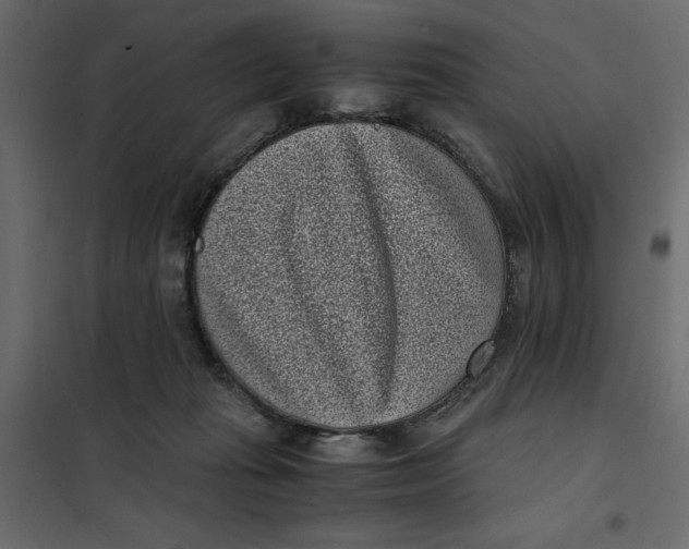 X0000101990269200808081643