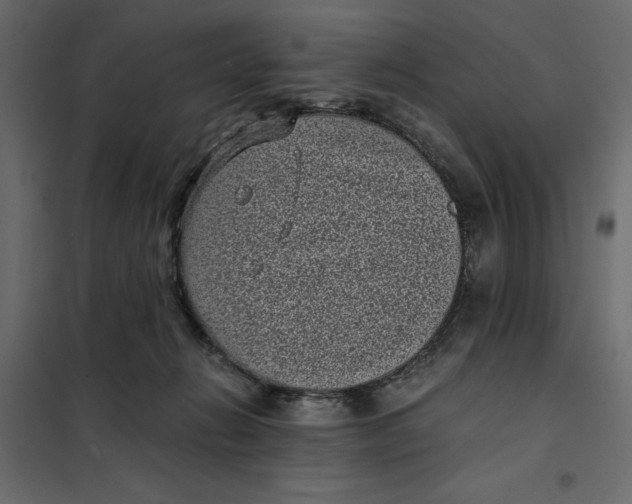 X0000101990270200808081643