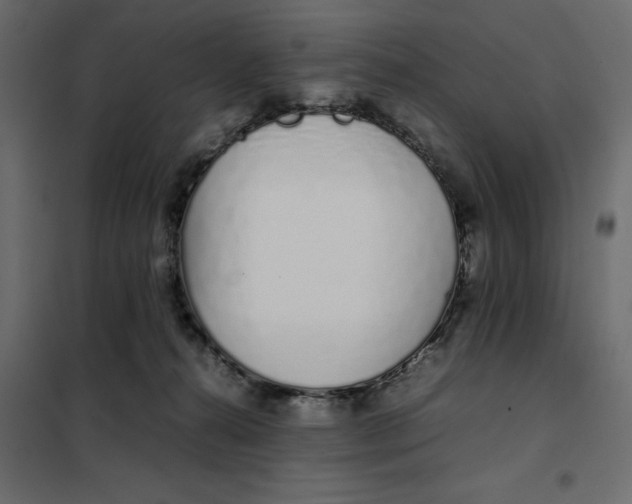 X0000101990272200808081643