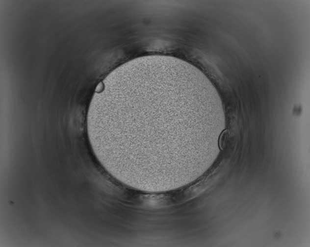 X0000101990273200808081643