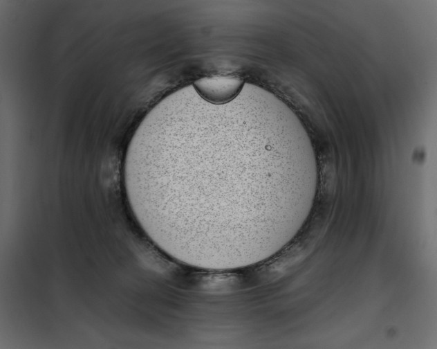 X0000101990274200808081643