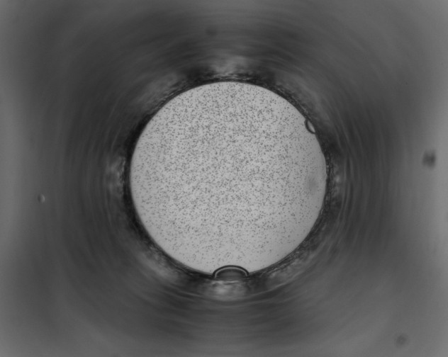 X0000101990275200808081643