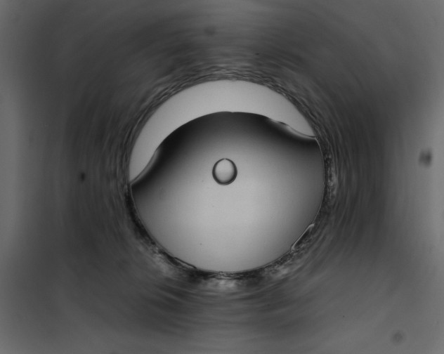 X0000101990276200808081643