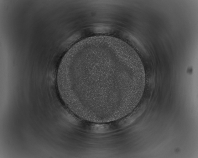 X0000101990277200808081643